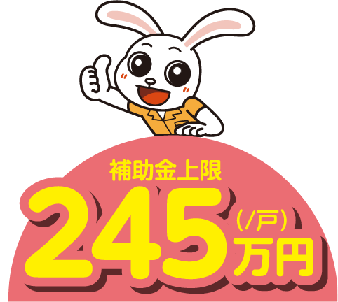 補助金上限245万円